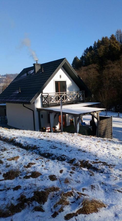 Vila Lesny Zaulek Muszyna Exteriér fotografie