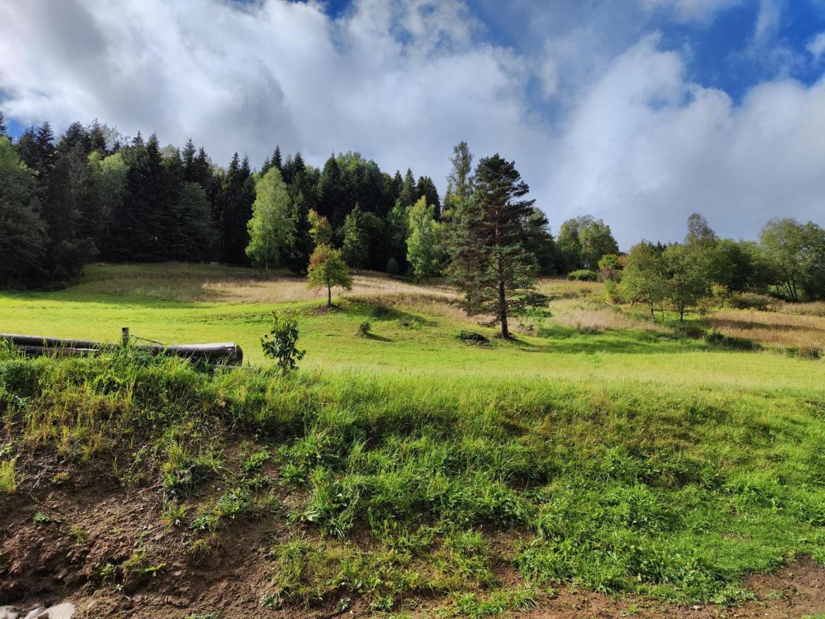 Vila Lesny Zaulek Muszyna Exteriér fotografie